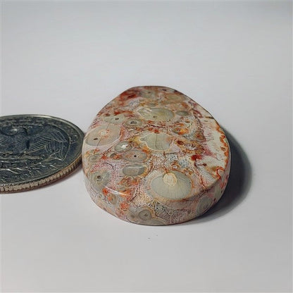 Leopard Skin Jasper gemstone cabochon - natural crystal healing stone for jewelry making by SemiPreciousCabs