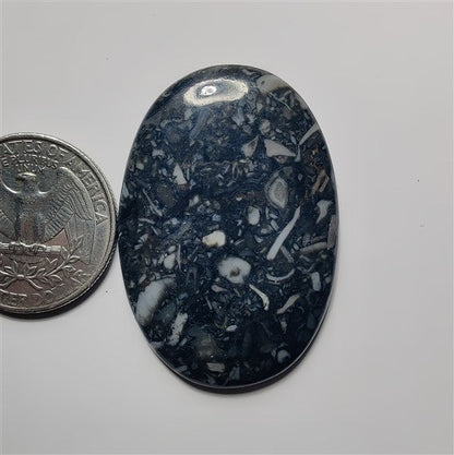 Black Orthoceras gemstone cabochon - natural crystal healing stone for jewelry making by SemiPreciousCabs
