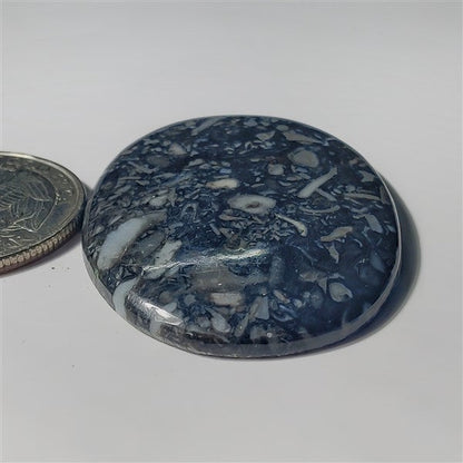 Black Orthoceras gemstone cabochon - natural crystal healing stone for jewelry making by SemiPreciousCabs