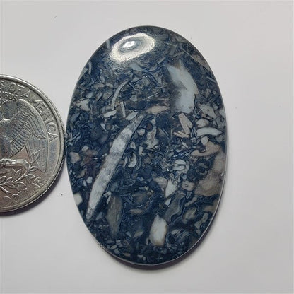 Black Orthoceras gemstone cabochon - natural crystal healing stone for jewelry making by SemiPreciousCabs