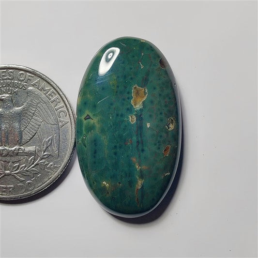 Ocean Jasper gemstone cabochon - natural crystal healing stone for jewelry making by SemiPreciousCabs