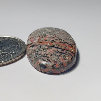 Leopard Skin Jasper gemstone cabochon - natural crystal healing stone for jewelry making by SemiPreciousCabs