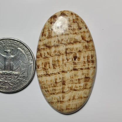 Brown Jasper gemstone cabochon - natural crystal healing stone for jewelry making by SemiPreciousCabs