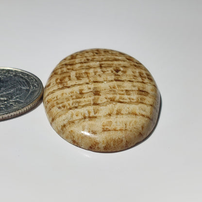 Brown Jasper gemstone cabochon - natural crystal healing stone for jewelry making by SemiPreciousCabs