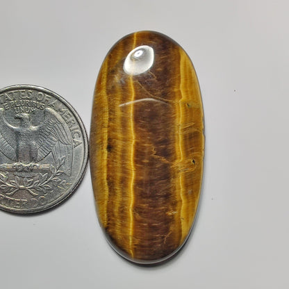 Tiger Eye gemstone cabochon - natural crystal healing stone for jewelry making by SemiPreciousCabs