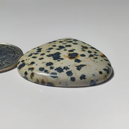 Dalamantion Jasper gemstone cabochon - natural crystal healing stone for jewelry making by SemiPreciousCabs