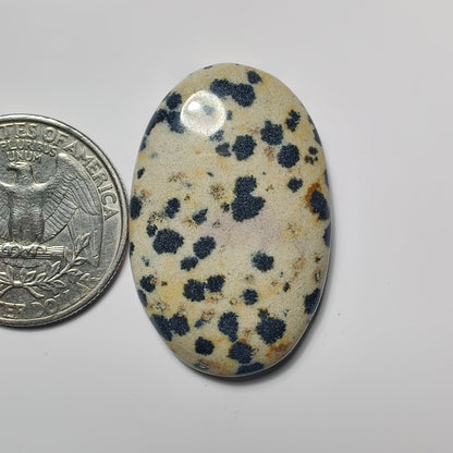 Dalamantion Jasper gemstone cabochon - natural crystal healing stone for jewelry making by SemiPreciousCabs