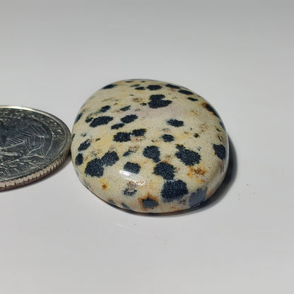 Dalamantion Jasper gemstone cabochon - natural crystal healing stone for jewelry making by SemiPreciousCabs