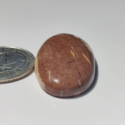 Coconut Jasper gemstone cabochon - natural crystal healing stone for jewelry making by SemiPreciousCabs