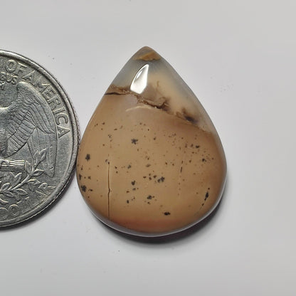 Chocolate Jasper gemstone cabochon - natural crystal healing stone for jewelry making by SemiPreciousCabs