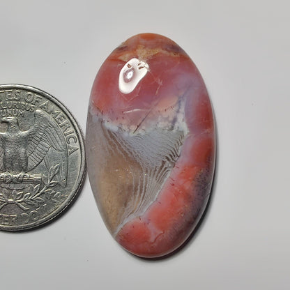 Botswana Agate gemstone cabochon - natural crystal healing stone for jewelry making by SemiPreciousCabs