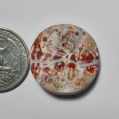 Leopard Skin Jasper gemstone cabochon - natural crystal healing stone for jewelry making by SemiPreciousCabs