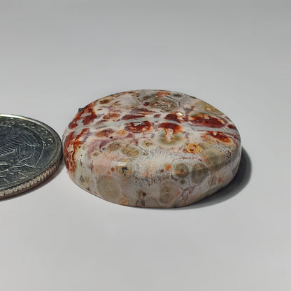 Leopard Skin Jasper gemstone cabochon - natural crystal healing stone for jewelry making by SemiPreciousCabs