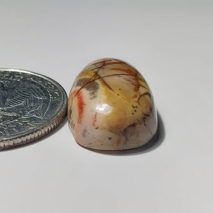 Bird Eye Agate gemstone cabochon - natural crystal healing stone for jewelry making by SemiPreciousCabs