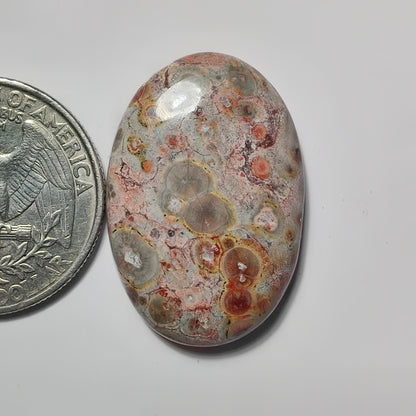 Leopard Skin Jasper gemstone cabochon - natural crystal healing stone for jewelry making by SemiPreciousCabs