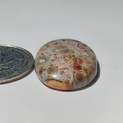 Leopard Skin Jasper gemstone cabochon - natural crystal healing stone for jewelry making by SemiPreciousCabs