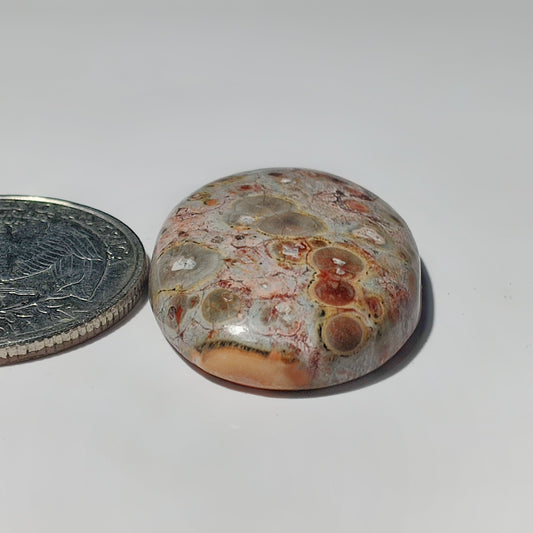 Leopard Skin Jasper gemstone cabochon - natural crystal healing stone for jewelry making by SemiPreciousCabs