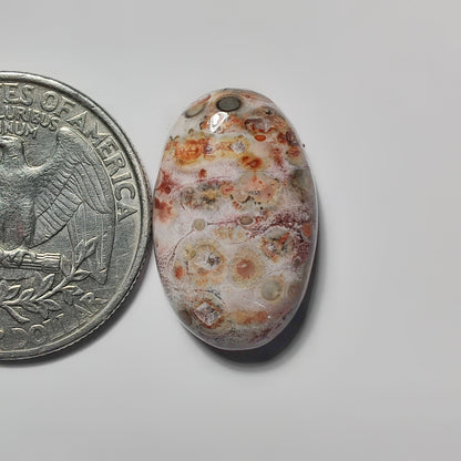 Leopard Skin Jasper gemstone cabochon - natural crystal healing stone for jewelry making by SemiPreciousCabs