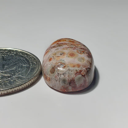 Leopard Skin Jasper gemstone cabochon - natural crystal healing stone for jewelry making by SemiPreciousCabs