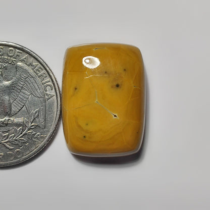 Ocean Jasper gemstone cabochon - natural crystal healing stone for jewelry making by SemiPreciousCabs