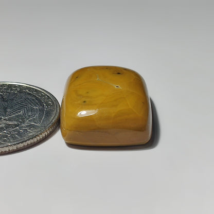 Ocean Jasper gemstone cabochon - natural crystal healing stone for jewelry making by SemiPreciousCabs