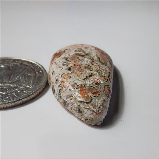 Leopard Skin Jasper gemstone cabochon - natural crystal healing stone for jewelry making by SemiPreciousCabs
