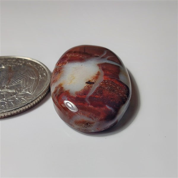 Thunder Agate gemstone cabochon - natural crystal healing stone for jewelry making by SemiPreciousCabs