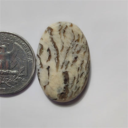 Waffy Jasper gemstone cabochon - natural crystal healing stone for jewelry making by SemiPreciousCabs