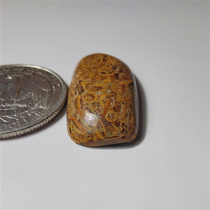 Mariyam Jasper gemstone cabochon - natural crystal healing stone for jewelry making by SemiPreciousCabs