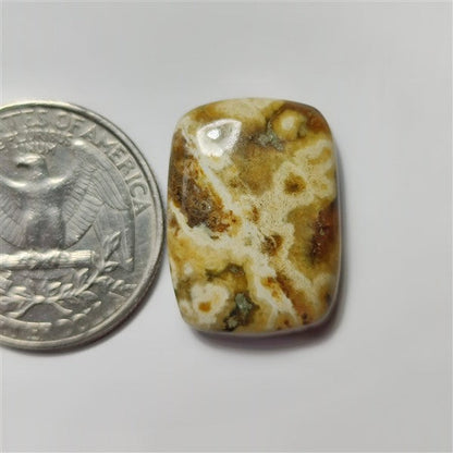 Ocean Jasper gemstone cabochon - natural crystal healing stone for jewelry making by SemiPreciousCabs