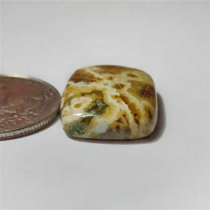 Ocean Jasper gemstone cabochon - natural crystal healing stone for jewelry making by SemiPreciousCabs