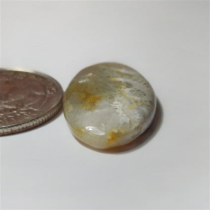 Fossil Coral gemstone cabochon - natural crystal healing stone for jewelry making by SemiPreciousCabs