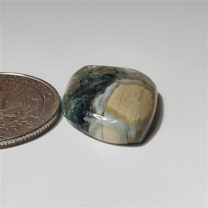 Ocean Jasper gemstone cabochon - natural crystal healing stone for jewelry making by SemiPreciousCabs