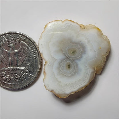 Solar Quartz Druzy gemstone cabochon - natural crystal healing stone for jewelry making by SemiPreciousCabs