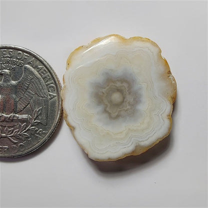 Solar Quartz Druzy gemstone cabochon - natural crystal healing stone for jewelry making by SemiPreciousCabs