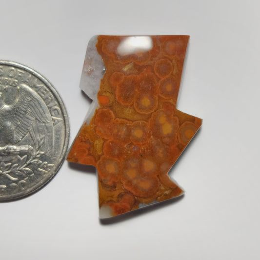 Red Ocean Jasper