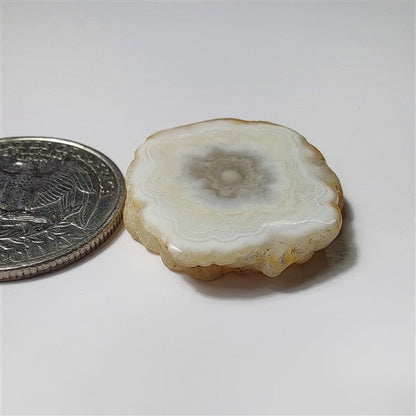 Solar Quartz Druzy gemstone cabochon - natural crystal healing stone for jewelry making by SemiPreciousCabs