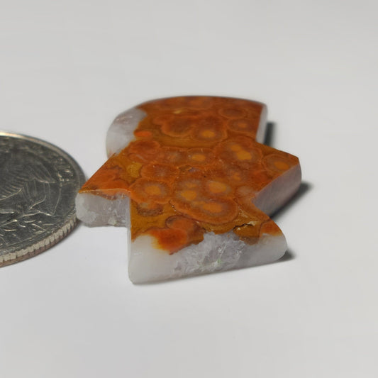 Red Ocean Jasper