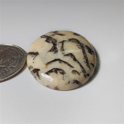 Waffy Jasper gemstone cabochon - natural crystal healing stone for jewelry making by SemiPreciousCabs
