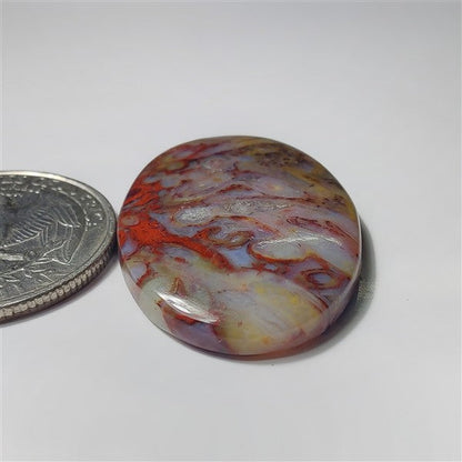 Plum Root Agate gemstone cabochon - natural crystal healing stone for jewelry making by SemiPreciousCabs