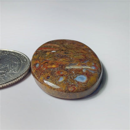 Plum Root Agate gemstone cabochon - natural crystal healing stone for jewelry making by SemiPreciousCabs