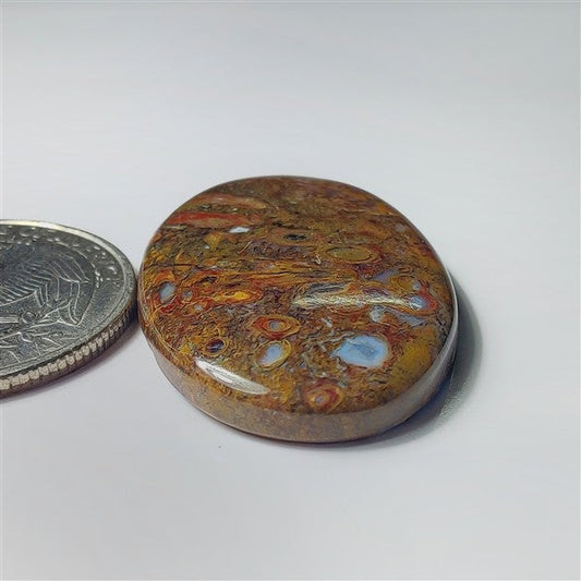 Plum Root Agate gemstone cabochon - natural crystal healing stone for jewelry making by SemiPreciousCabs