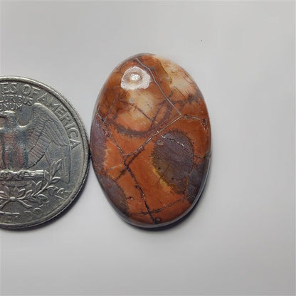 Bird Eye Agate gemstone cabochon - natural crystal healing stone for jewelry making by SemiPreciousCabs