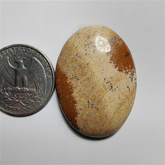 Picture Jasper gemstone cabochon - natural crystal healing stone for jewelry making by SemiPreciousCabs