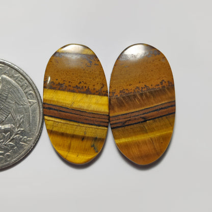Tiger Eye Pair