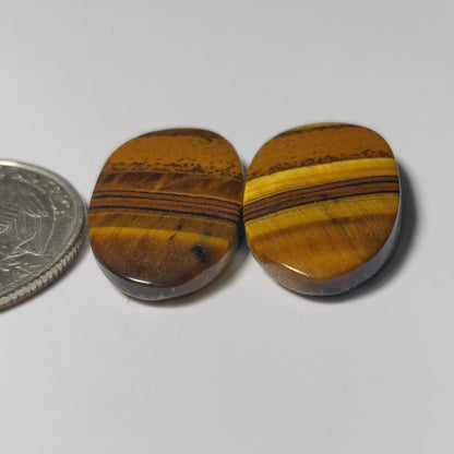 Tiger Eye Pair