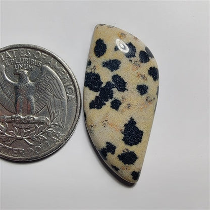 Dalmatian gemstone cabochon - natural crystal healing stone for jewelry making by SemiPreciousCabs