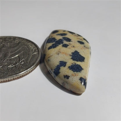 Dalmatian gemstone cabochon - natural crystal healing stone for jewelry making by SemiPreciousCabs