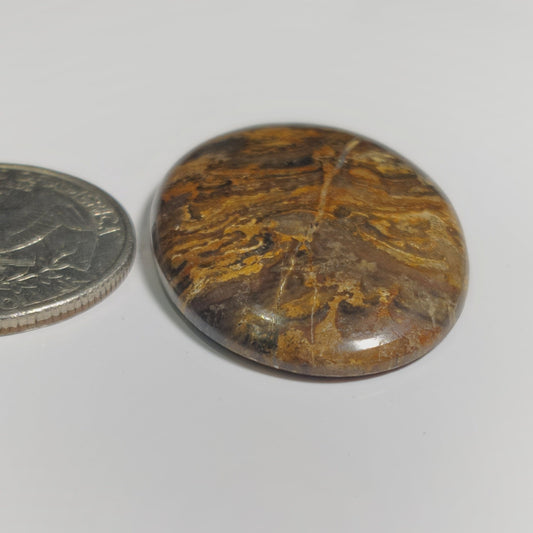 Stromatolite