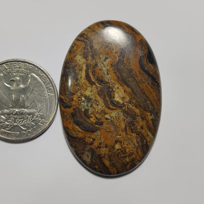 Stromatolite
